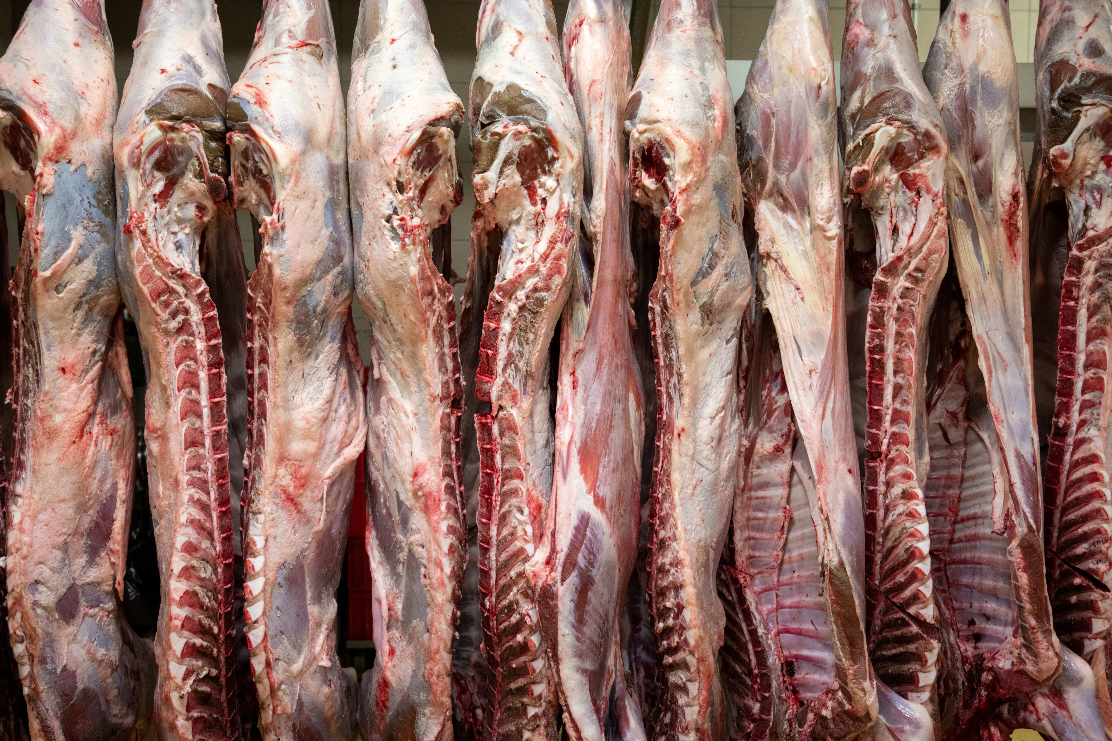 Lógatott friss vágások feldolgozásra várva